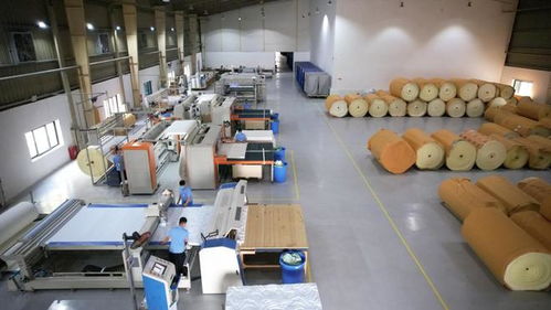 攜手共進，共享發(fā)展機遇——海馬牌及軒琴居越南生產(chǎn)工廠開放日錄音制作紀實